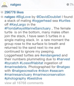 National Geographic often incorporates hashtags in their sentences and tacks them at the end