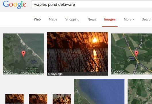 waples pond image search