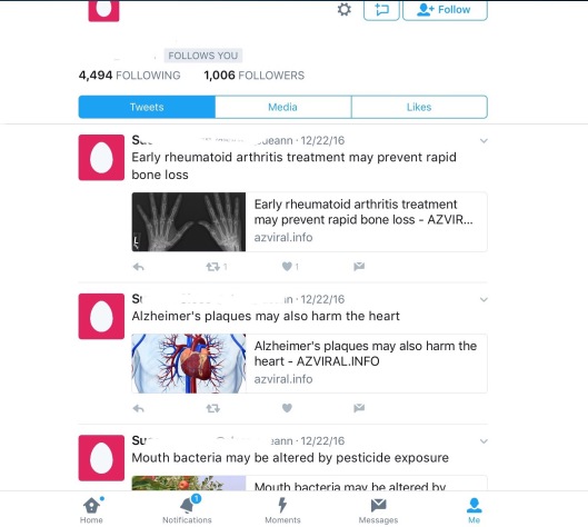 Screenshot of a suspect Twitter account